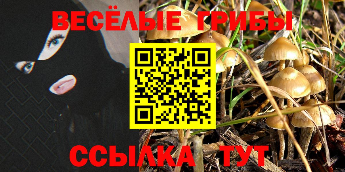 Псилоцибиновые грибы прущие грибы  Псилоцибиновые грибы Magic Shrooms  Нижнеудинск 