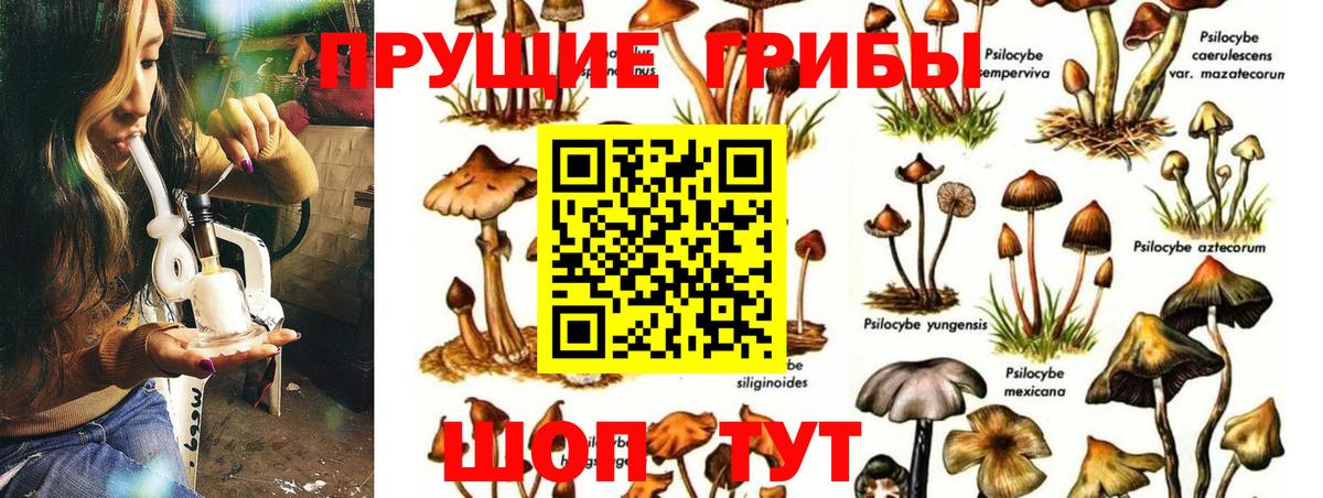 Псилоцибиновые грибы GOLDEN TEACHER  Вход с VPN  Нижнеудинск 